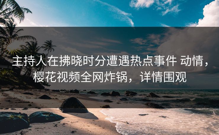 主持人在拂晓时分遭遇热点事件 动情，樱花视频全网炸锅，详情围观